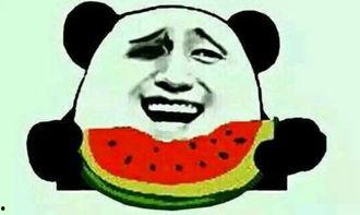 免费吃瓜的套路,揭秘娱乐圈幕后故事,带你领略明星真实生活 第1张 免费吃瓜的套路,揭秘娱乐圈幕后故事,带你领略明星真实生活 第1张